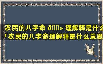 农民的八字命 🌻 理解释是什么「农民的八字命理解释是什么意思」